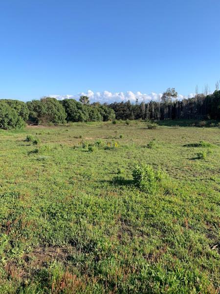 Finca Dos Vientos 塔里法 外观 照片