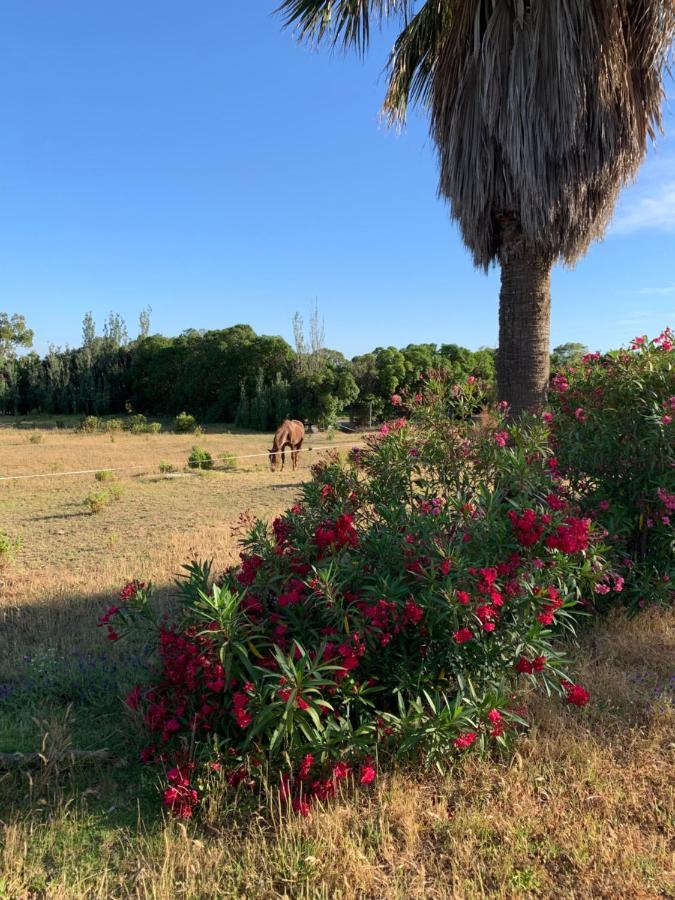 Finca Dos Vientos 塔里法 外观 照片