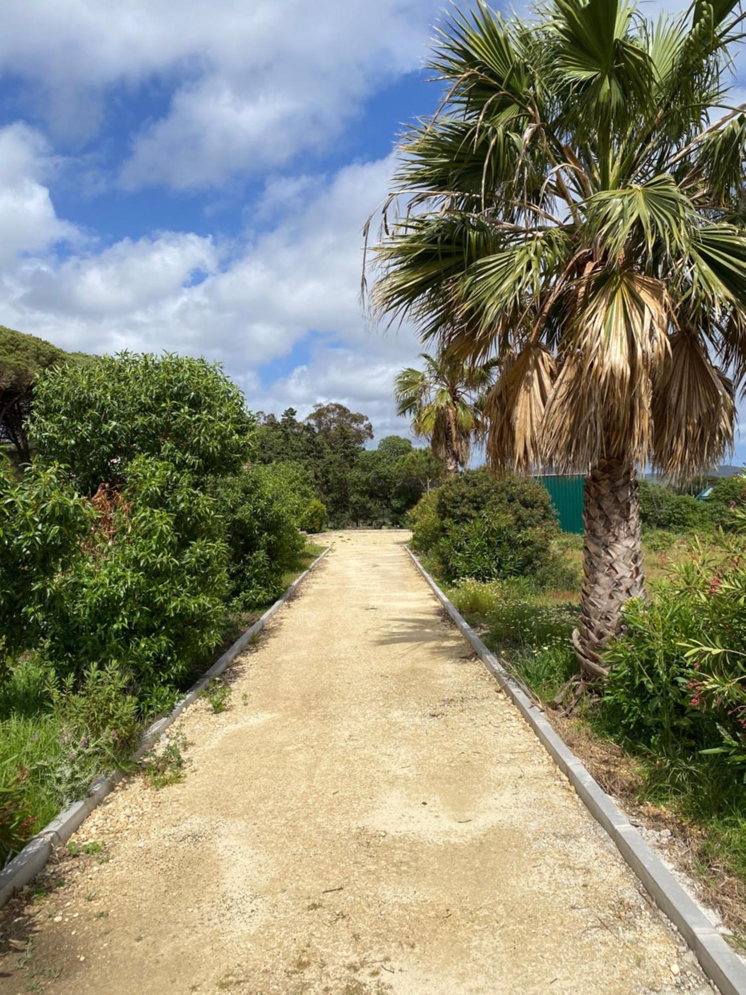 Finca Dos Vientos 塔里法 外观 照片